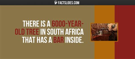 15 Facts About South Africa ←factslides→ South Africa Facts