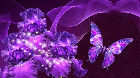 Wallpaper Hd Purple Butterfly 2020 Live Wallpaper Hd