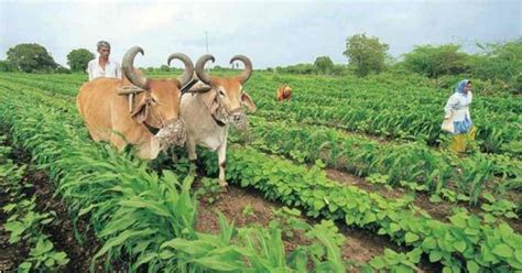 What Monsoon 2017 Has In Store For Agriculture In Gujarat Skymet