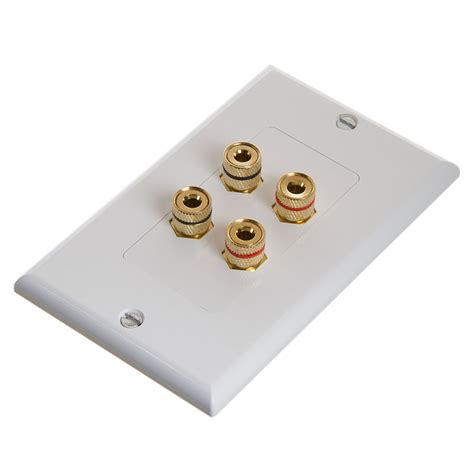 Speaker Wall Plate With Banana Binding Posts Two Speakers