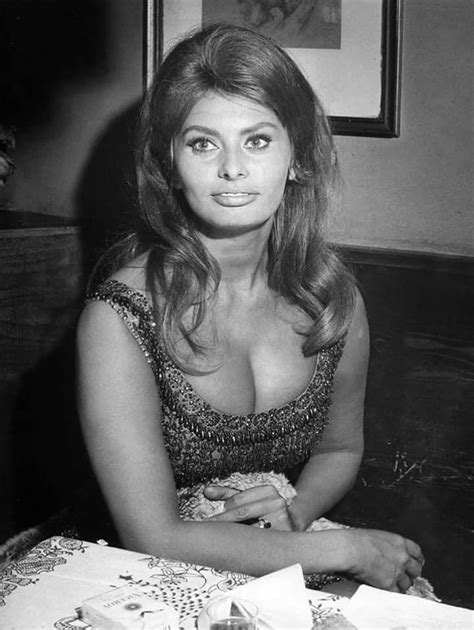 Pin By Fredrick Burns On 1 Sophia Loren Sophia Loren Photo Sophia Loren Sophia Loren Images