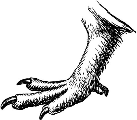 Claws Out Clipart Clipground