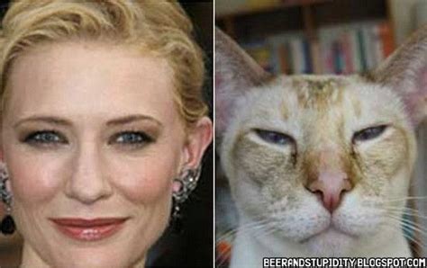 Boredom Crusher Famous People And Their Cat Look Alikes Funny