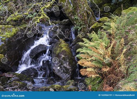 Beautiful Vibrant Autun Fall Landscape Of Waterfall In Woodlands With