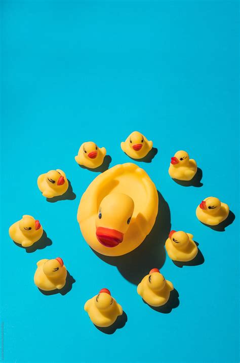 Baby Duckstoys With Mombig Duck On Blue Background By Audrey