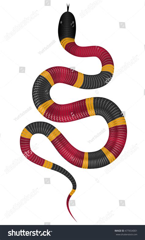 Coral Snake Vector Illustration Isolated On Stock Vector 477654001