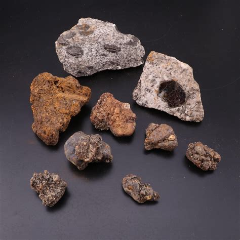 Biotite Diorite Mica Chert And Other Rock And Mineral Specimens Ebth
