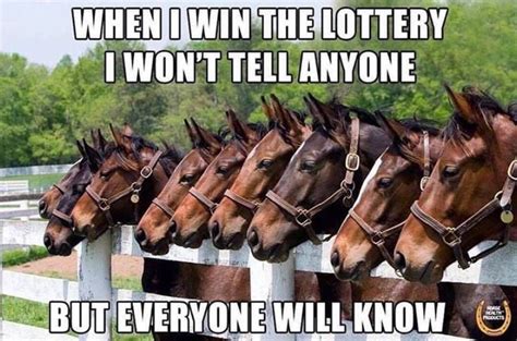 ~ Horse Quotes Funny Inspirational Horse Quotes Horse Jokes Horse