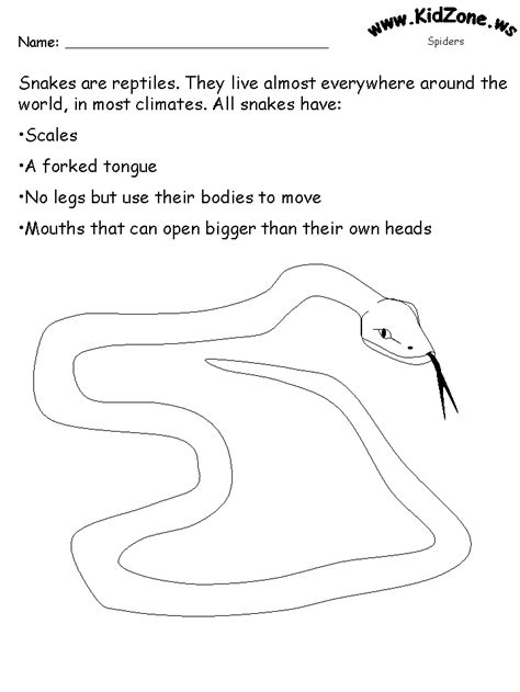 Snake Activities About Snakes Worksheet