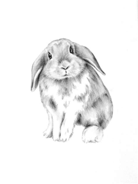 Say you're making mirrored decreases in an upside down v over an odd number of stitches. Bunny Rabbit Art ORIGINAL Rabbit Charcoal Drawing Bunny