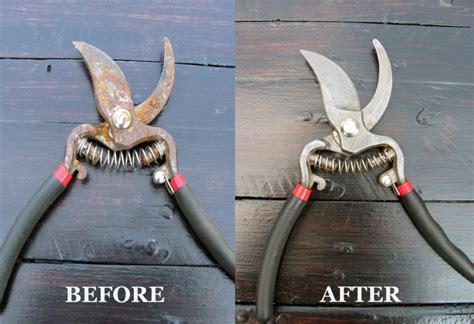 How To Easily Clean And Sharpen Your Pruning Shears