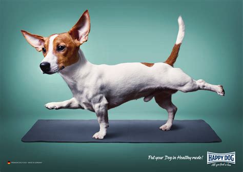 Happy Dog Healthy Mode Ads Of The World Part Of The Clio Network