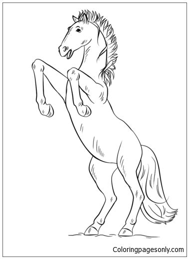 Bucking Mustang Horses Coloring Page Free Printable Coloring Pages