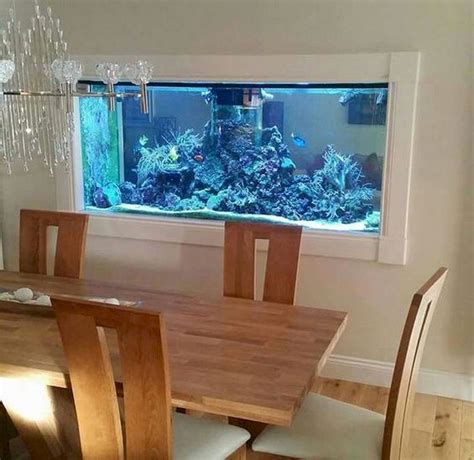 Wall Mounted Fish Tank And Aquarium Home Updates And Decor Ideas