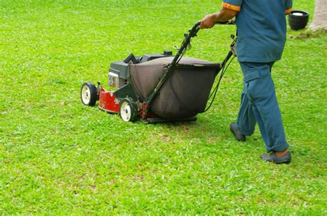 Lawn Care Mowing Franks Lawn And Tree Service