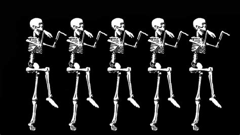 Free Download Halloween Skeleton Wallpapers Top Free Halloween Skeleton
