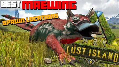 Ark Lost Island Maewing Best Spawn Locations Youtube