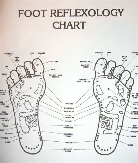 Free Printable Reflexology Charts Introduction To Acupressure Points Qi Gong All Time