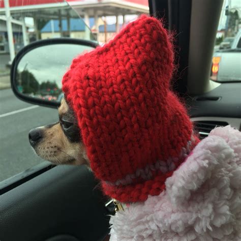 Chihuahua Winter Hat Winter Hats Crochet Hats Hats