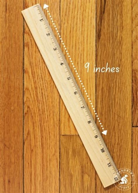 How Long Is 9 Inches With 10 Examples Measuring Stuff