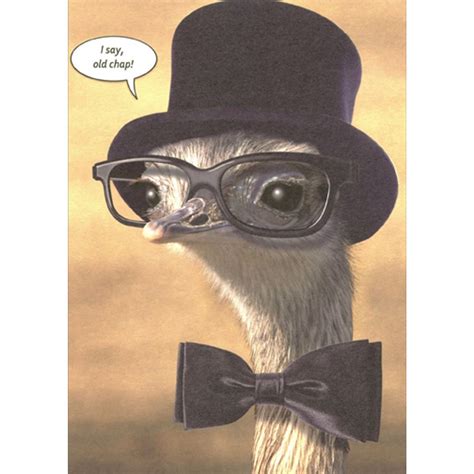 Ostrich Wearing Black Glasses Top Hat And Bow Tie Funny Humorous