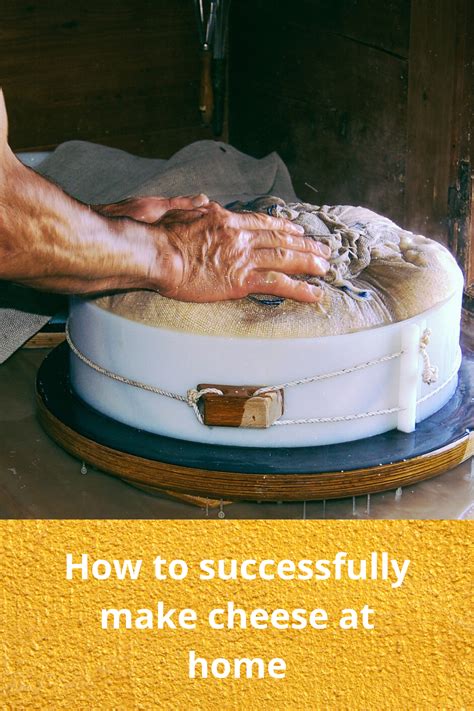 How To Successfully Make Cheese At Home How To Make Cheese Cheese Making Recipes Cheese