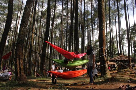 5 Destinasi di Bandung yang Bisa Dikunjungi Saat Akhir Pekan, Hammock