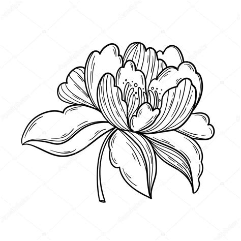 Fantasie peony bloem — Stockvector © Maria_Letta 109154686