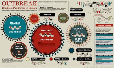 infographic the deadliest disease outbreaks in history good