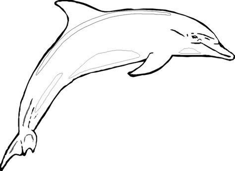 Gambar Kumpulan Gambar Sketsa Hitam Putih Mewarnai Hewan Laut Lengkap
