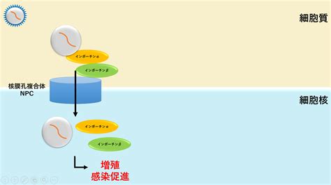 Maybe you would like to learn more about one of these? イベルメクチン コロナ ウイルス | イベルメクチンが新型コロナ ...