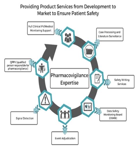 Understanding The Vital Role Of Drug Safety Pharmacovigilance