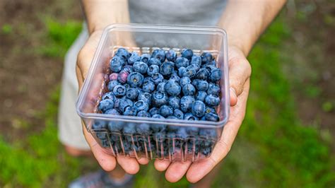 The Reason Naturally Blue Foods Are So Rare