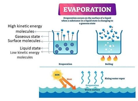 What Are The Factors Affecting Evaporation