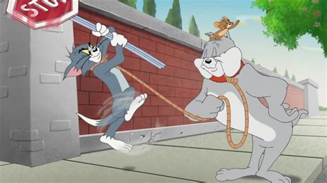 Tom And Jerry Tales Painful Violent Slapstick Montage Youtube