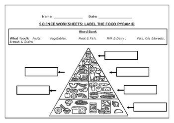 A rainbow of colored vertical stripes represents the five food groups plus fats and oils. Science worksheet: Label the food pyramid by Science ...
