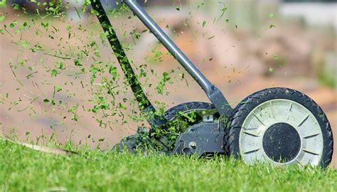 Starting a florida lawn business can be a reliable way to make a steady income. Tips for Starting a Lawn Care Business - Turfmate