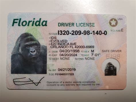 Evolved Ids · Buy Florida Fake Id Florida Id Card