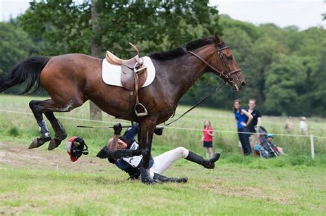 We would like to show you a description here but the site won't allow us. Eventing | Eventing, Dressage horses, Horse riding