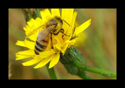 We did not find results for: Symbiosis - Symbiosis Website Jonathan Hess