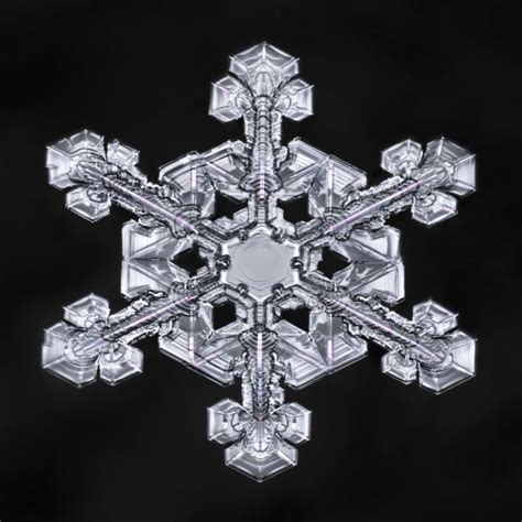 Incredible Snowflake Close Ups Snowflakes Real Snowflake Photos