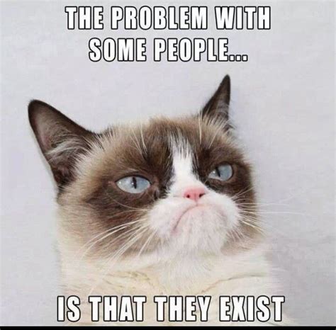 At memesmonkey.com find thousands of memes categorized into thousands of categories. Ha! For real!! | Funny grumpy cat memes, Grumpy cat quotes ...