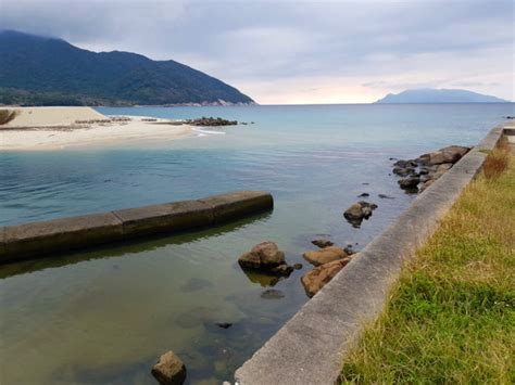 Explore Subtropical Yakushima Island In Three Days