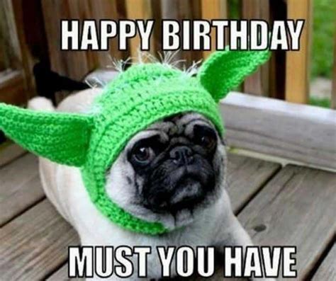 50 Funny Happy Birthday Memes Images Quotes Happy Birthday Dog