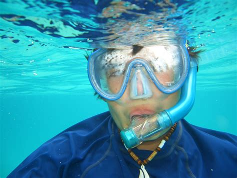 Distortions Under The Sea Scubasnorkel The Cayman Islands