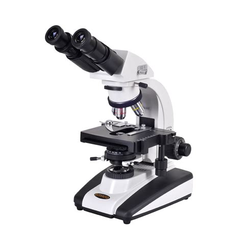 Microscope Png Clipart Png All Png All
