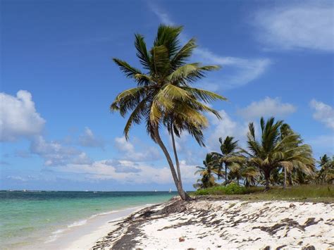 Dominican Republic Punta Cana Free Image Download