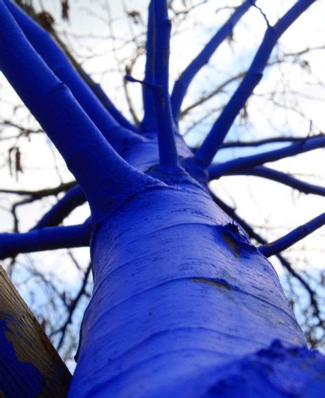 29 Blue Tree Project Ideas Blue Tree Tree Tree Painting