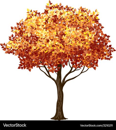 Fall Tree Royalty Free Vector Image Vectorstock