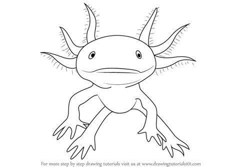 Axolotl Drawing Easy Axolotl Drawing Easy A Lotl Axolotl By Mahoukarp